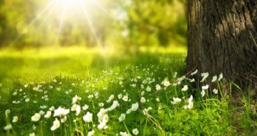 Bayram günlərində gözlənilən hava proqnozu açıqlanıb