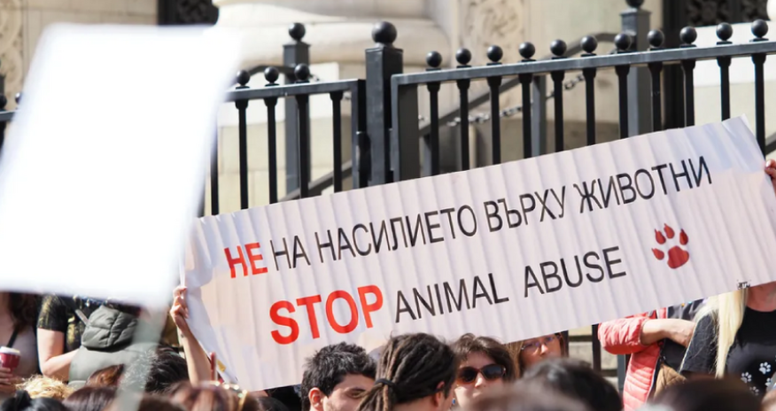 Bolqarıstanda heyvanların müdafiəsi ilə bağlı kütləvi etirazlar keçirilib