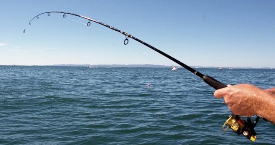 Bu gündən daxili su hövzələrində sənaye balıq ovu qadağan edilir