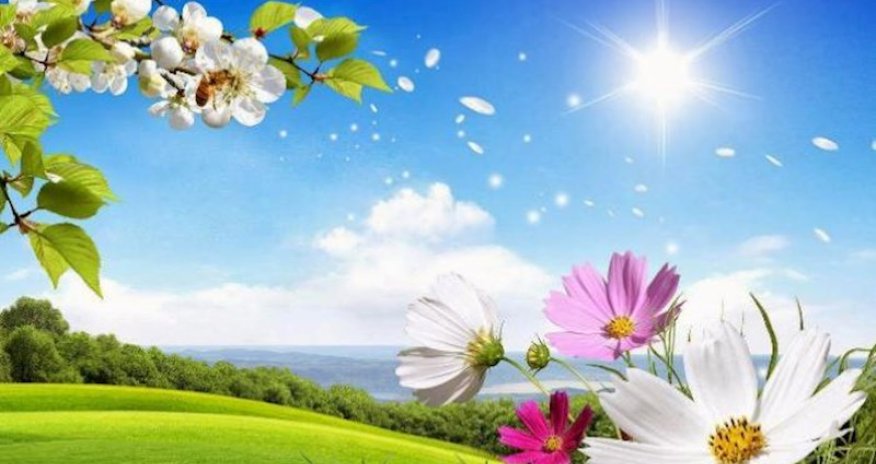 Sabahın hava proqnozu açıqlanıb