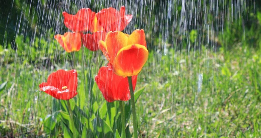 Bəzi rayonlarda yağış yağır - Faktiki hava - Yenilənib