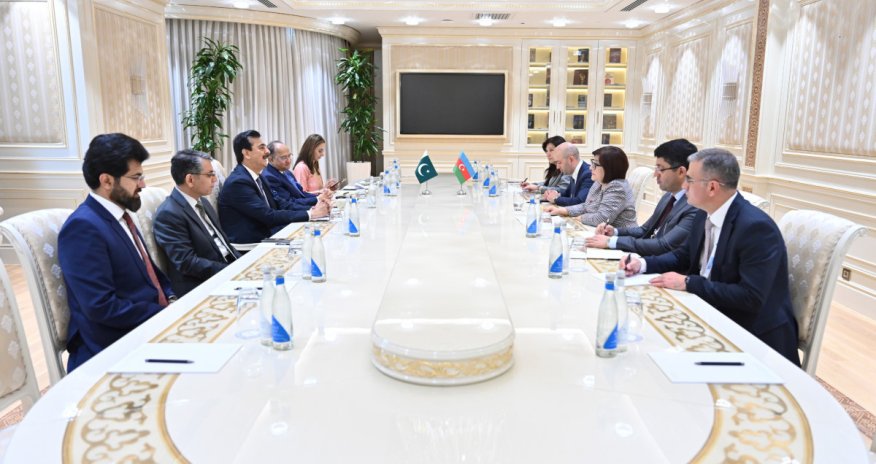 Milli Məclisin sədri pakistanlı həmkarı ilə görüşüb