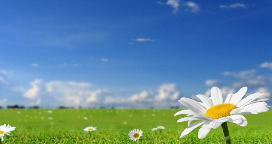 Sabahın hava proqnozu