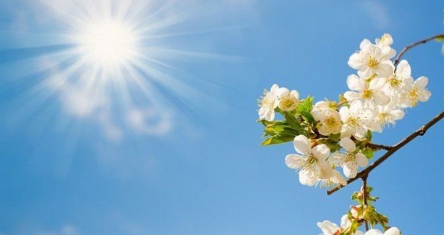 Sabah 31 dərəcə isti gözlənilir - Proqnoz