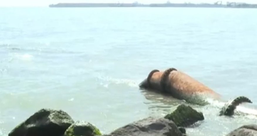 &ldquo;Sədərək&rdquo; və &ldquo;Binə&rdquo; ilə bağlı bu qurum cəzalandırıldı- Video