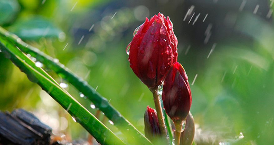 Hava ilə bağlı növbəti xəbərdarlıq edilib