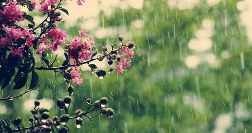 Bəzi ərazilərdə yağış yağır, külək əsir - Faktiki hava