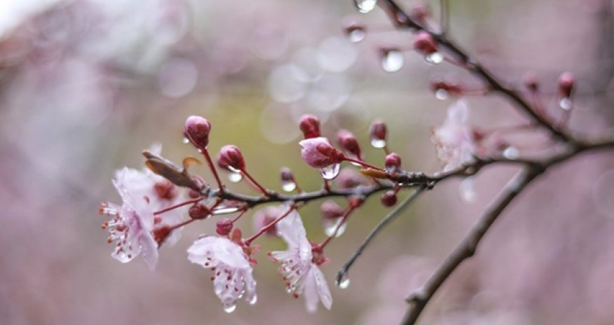 Sabah Bakıda yağış yağacaq - Hava proqnozu