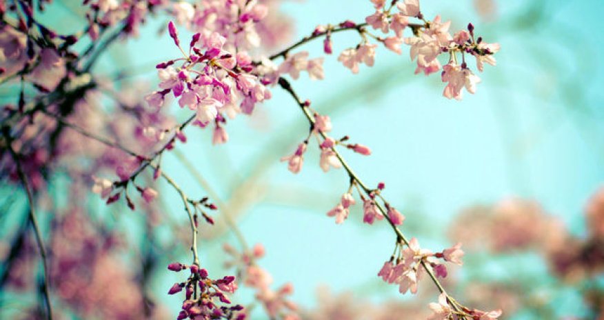 Sabahın hava proqnozu