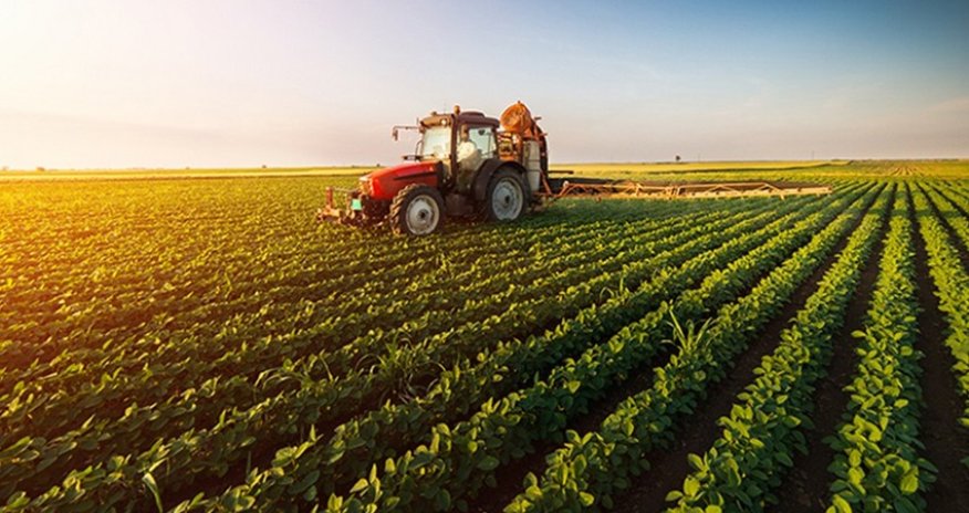 Ölkədə aqrar sektor böyüyüb