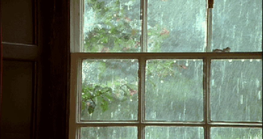 Sabah Bakıda leysan olacaq, şimşək çaxacaq, güclü külək əsəcək