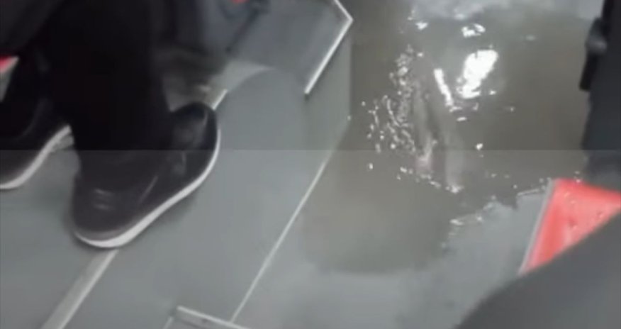 Bakıda sərnişin avtobusunu su basıb- VİDEO