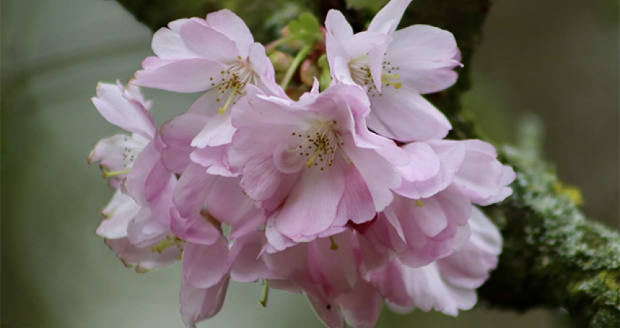 Sabahın havası açıqlanıb