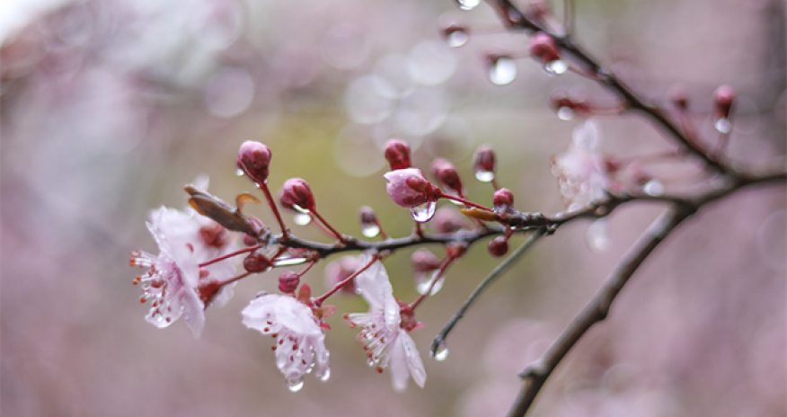 Azerbaijan weather forecast for April 18