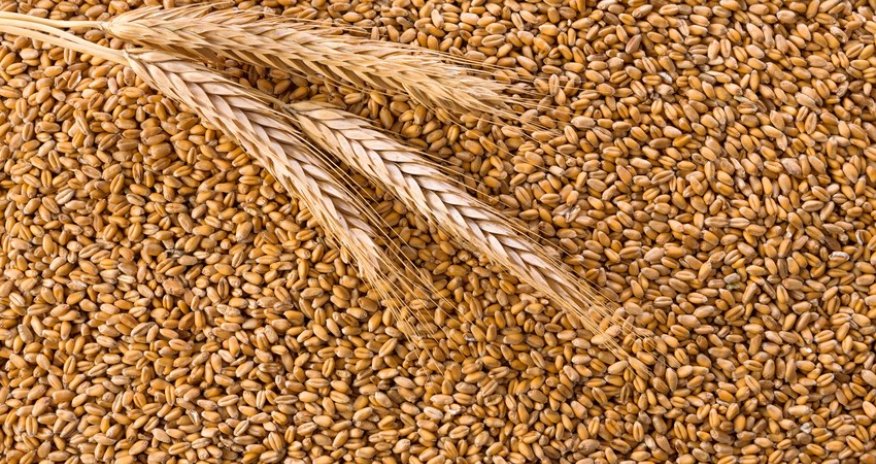 Azərbaycan buğda idxalını artırıb