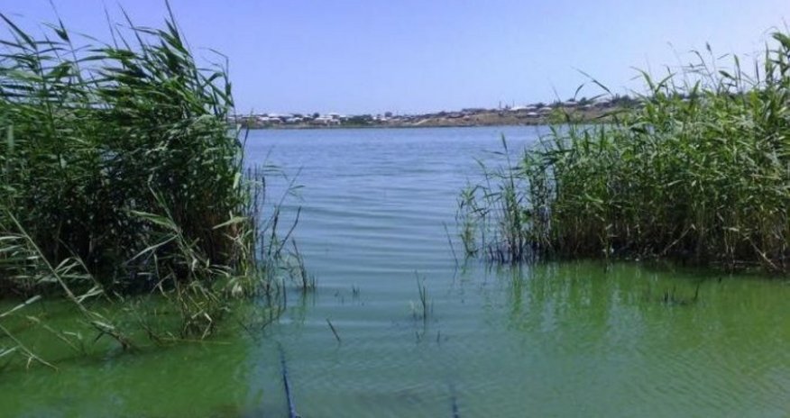 В Хачмазе ищут провалившегося в болото подростка
