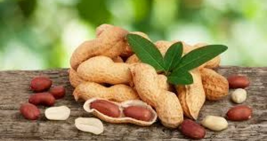 Uzbekistan exported 531.4 tonsof peanuts to Azerbaijan