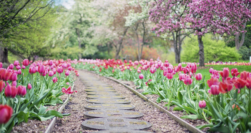 Sabahın havası isti olacaq