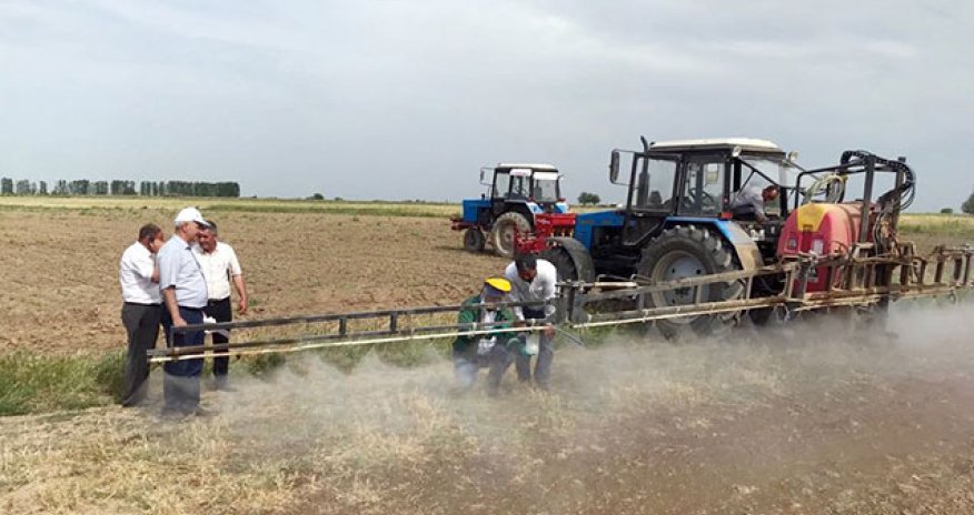 Bəzi məhsulların istehsalı ilə bağlı "Dövlət Proqramı" hazırlanır