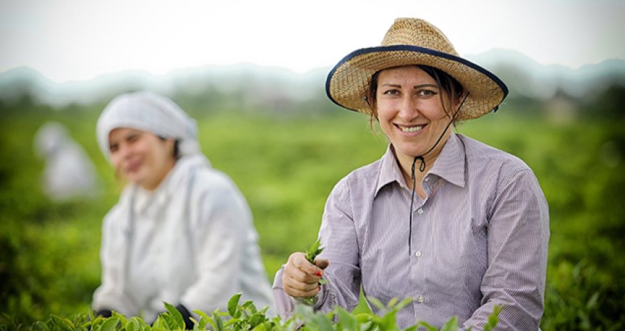 8 potensial qadın fermer tapıb ortaya çıxara bilmirik - Gülbəniz Qənbərova