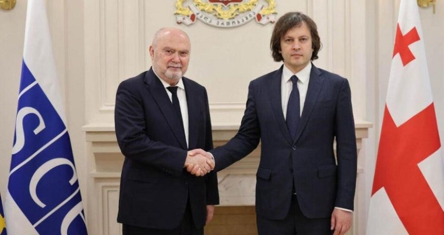 
Премьер Грузии обсудил с генсеком ОБСЕ ситуацию на Южном Кавказе