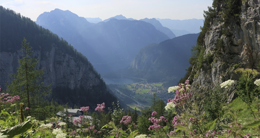 Sabahın havası açıqlanıb