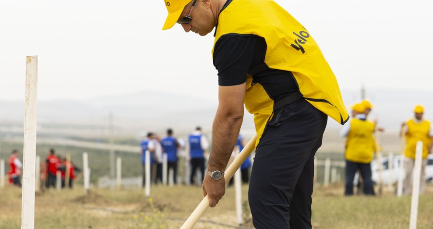 Yelo Bank ölkəmizin yaşıllaşdırılmasına öz töhfəsini verdi