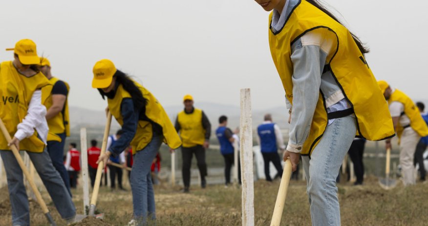 Yelo Bank contributes to a greener future