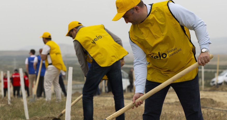 Yelo Bank внёс свой вклад в озеленение нашей страны