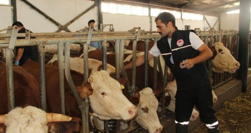 Balıkəsir vilayətində dabaq xəstəliyi ilə əlaqədərkarantin tətbiq edilib