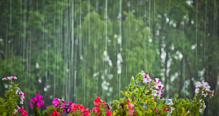 Yağıntılı və küləkli hava şəraiti davam edir - FAKTİKİ HAVA