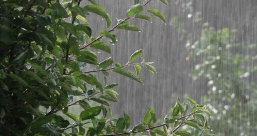 Sabahın hava proqnozu