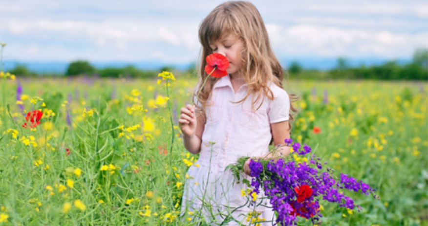 Sabahın havası açıqlanıb - 25 dərəcə isti olacaq