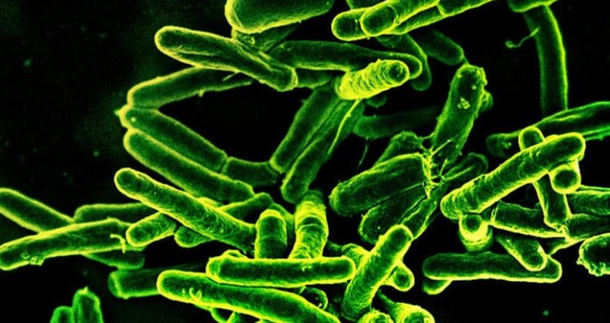 Ученые добились крупного прорыва в борьбе с туберкулезом