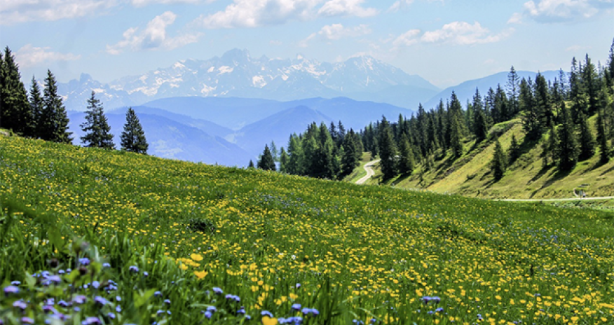 Sabahın havası açıqlanıb