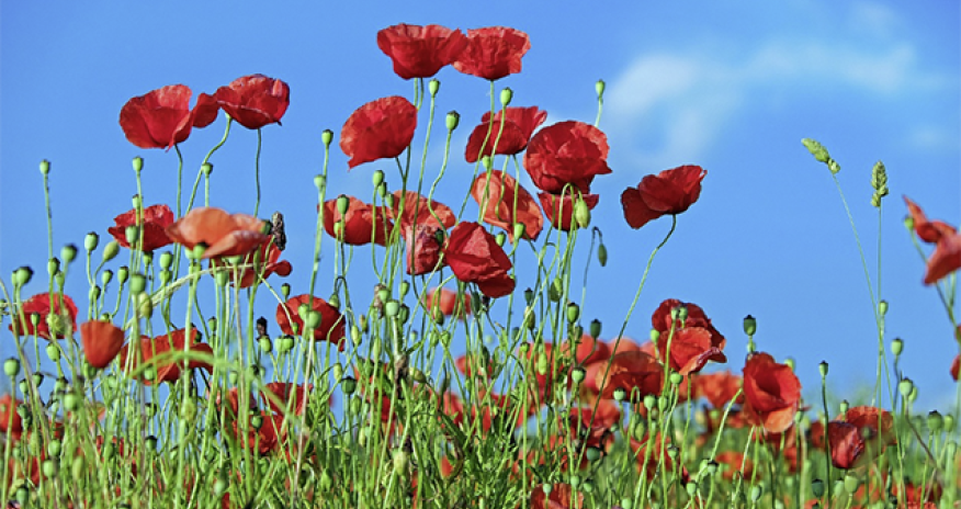 Sabah 28 dərəcə isti olacaq