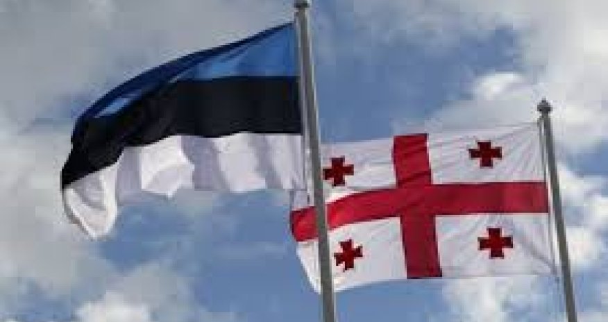 Estoniya Gürcüstan üçün vizasız rejimi ləğv edib