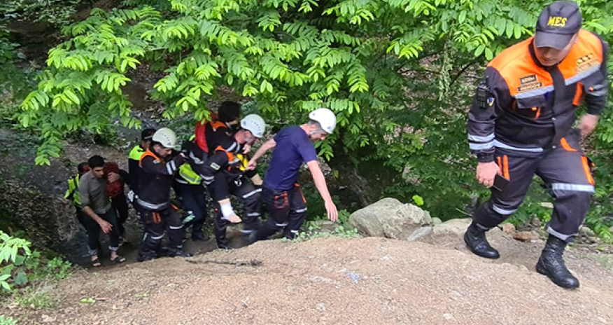 Lerikdə 62 yaşlı qadın körpüdən dərəyə yıxılaraq xəsarət alıb - Video