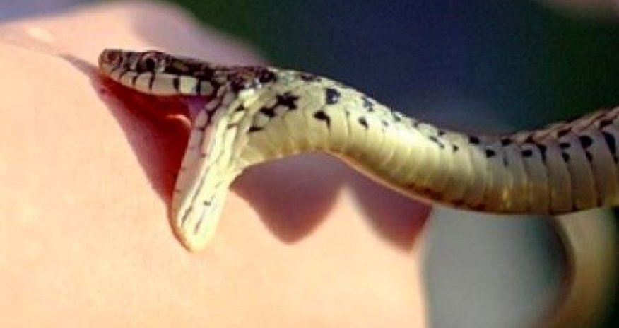 Ağdamda qadını ilan sancıb