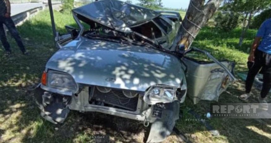 Şabranda avtomobil ağaca çırpılıb, iki qardaş ölüb