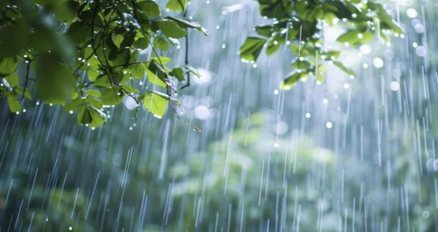 Sabahın hava proqnozu