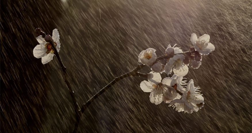 Axşam yağış yağacaq - Xəbərdarlıq