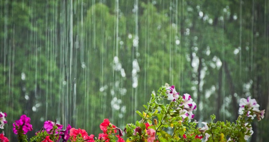 Sabahın havası açıqlanıb - Yağış gözlənilir