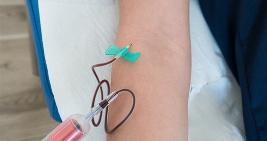 Çindən gətirilən qanalma kəpənəklərinin satışı qadağan edilib