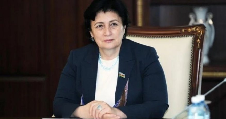 Nəsimi rayonunda 500-ə yaxın bina sakinləri hələ də istilik gözləyir - Deputat