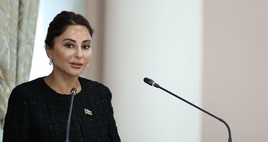 Vicdansız sözünün qanunda istifadəsində bir problem yoxdur - Deputat