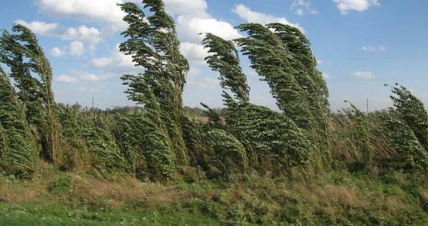 Küləkli hava ilə bağlı XƏBƏRDARLIQ