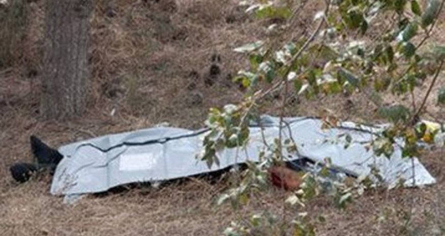 Tut yığmaq üçün ağaca çıxan kişi yıxılaraq ölüb