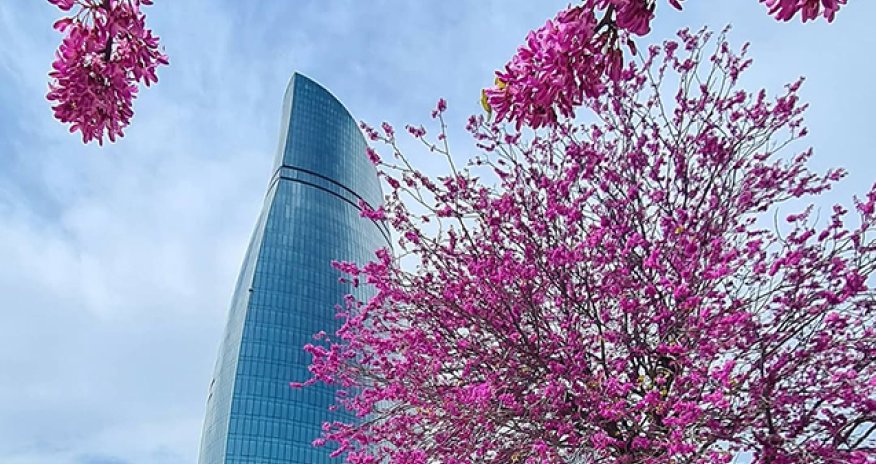 Sabahın havası açıqlanıb