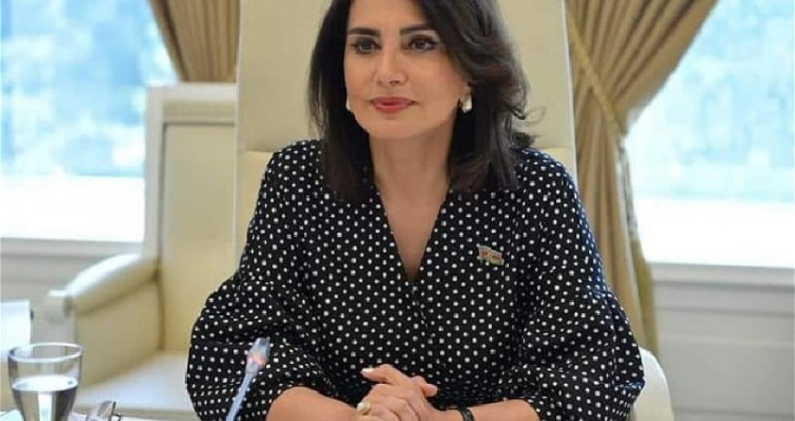 Gender bərabərliyi deyəndə qadınların üstünlüyü başa düşülür - Deputat
